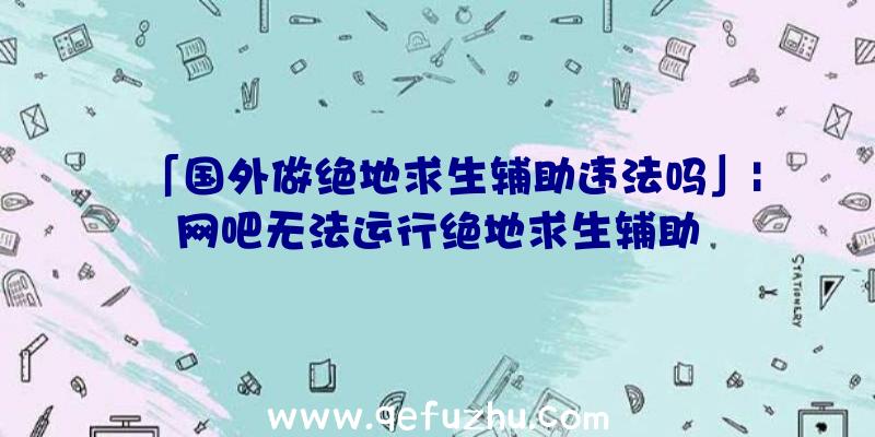 「国外做绝地求生辅助违法吗」|网吧无法运行绝地求生辅助